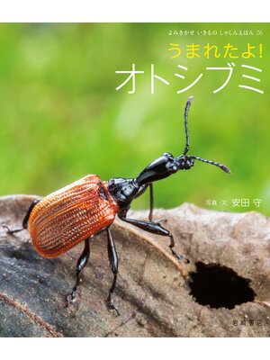 cover image of うまれたよ!オトシブミ